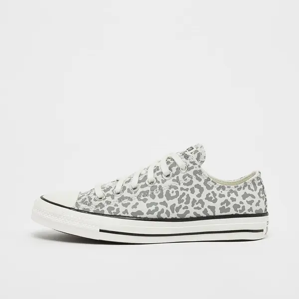 Converse Chuck  Taylor All Star