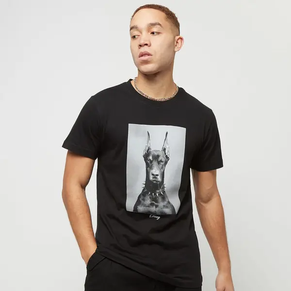 mister tee Dawg Tee