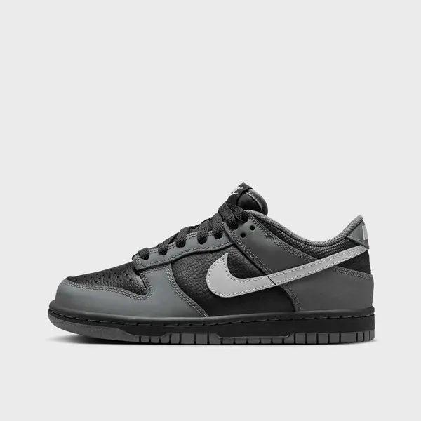 Nike Dunk Low (GS)
