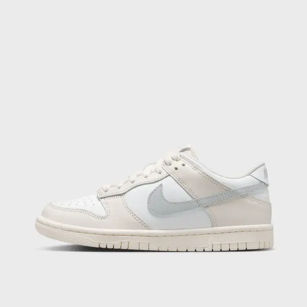 Nike Dunk Low (GS)