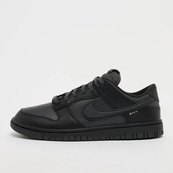 Nike Dunk Low GTX