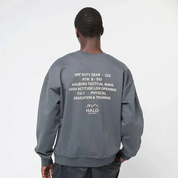 Halo Graphic Boxy Crew