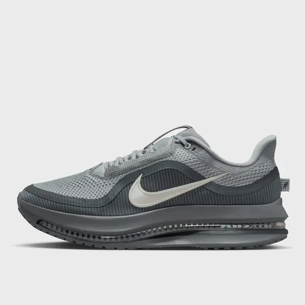 Nike Pegasus Premium