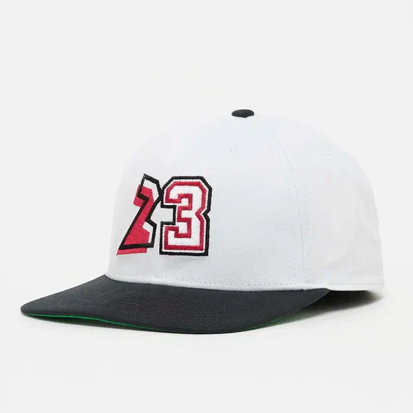 Jordan Pro Structured Flat Bill Hat