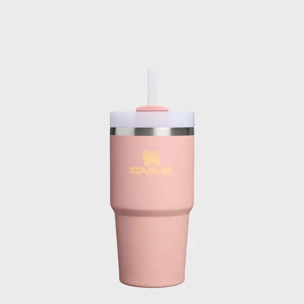 Stanley The Quencher H2.O FlowState Tumbler | 0,6L