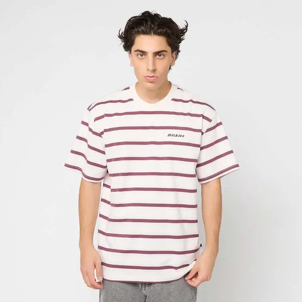 Dickies York Stripe Short Sleeve Tee