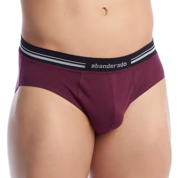 Abanderado Abanderado  Slip gaćice A077H-0V4  Abanderado