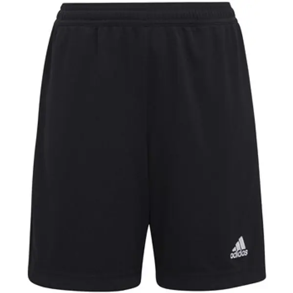 adidas adidas  Bermude i kratke hlače Ent22 Tr Shoy  adidas