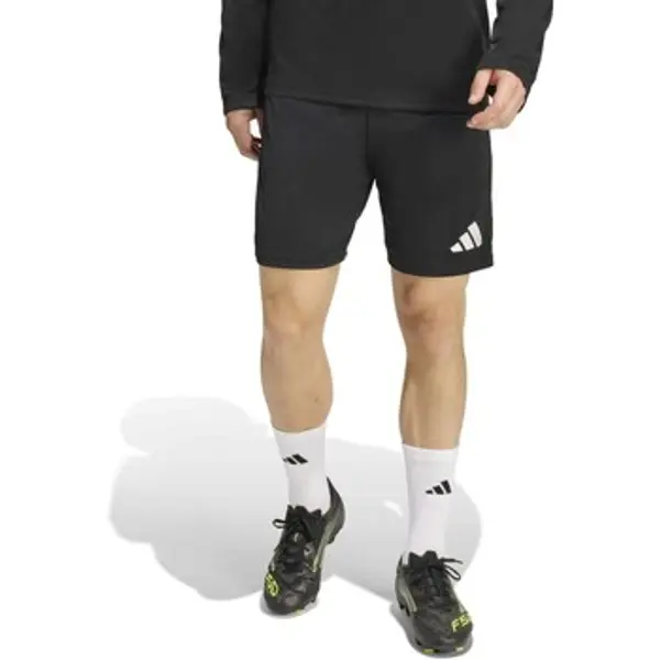adidas adidas  Bermude i kratke hlače Ent26 Tr Sho  adidas