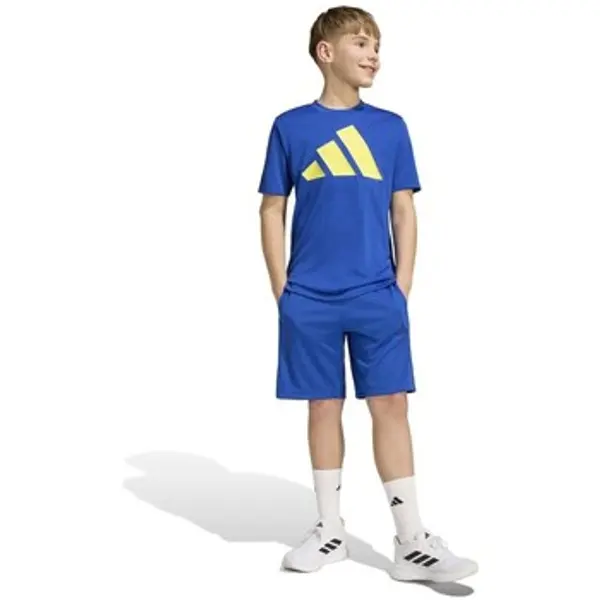 adidas adidas  Bermude i kratke hlače KR4250000ROYBLUDKBL  adidas