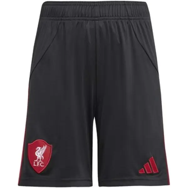 adidas adidas  Bermude i kratke hlače Lfc A Sho Y  adidas