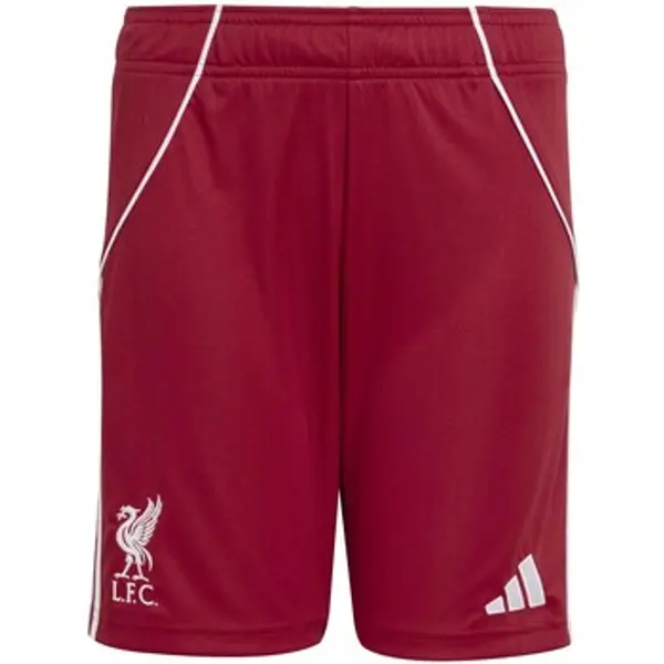 adidas adidas  Bermude i kratke hlače Lfc H Sho Y  adidas