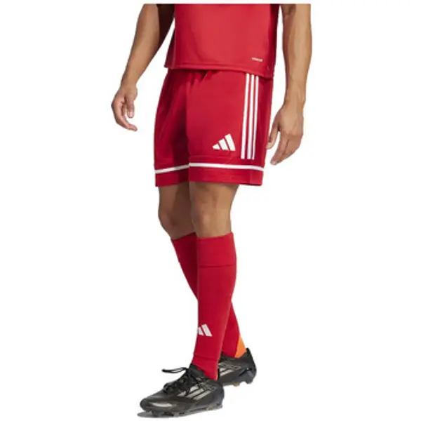 adidas adidas  Bermude i kratke hlače Shorts  Squadra 25 100% polyester recyclé  adidas