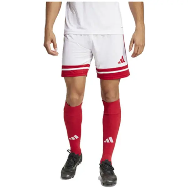 adidas adidas  Bermude i kratke hlače Shorts  Squadra 25 100% recyclé  adidas