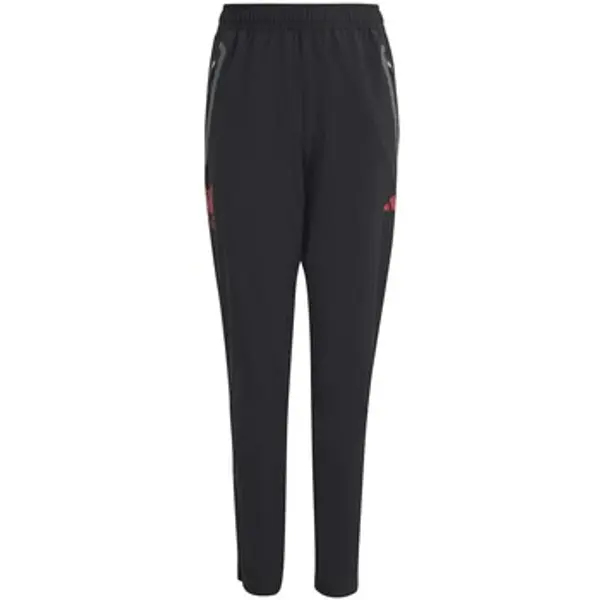 adidas adidas  Donji dio trenirke Lfc C Vt P Y  adidas