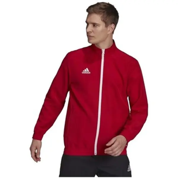 adidas adidas  Gornji dijelovi trenirke Entrada 22 Presentation  adidas
