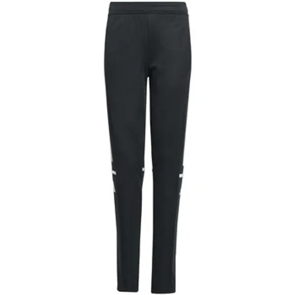 adidas adidas  Hlače Sq25 Tr Pnt Y  adidas