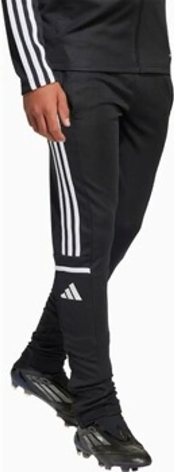 adidas adidas  Hlače Squadra 25  adidas