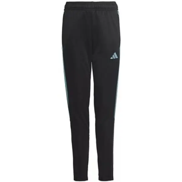 adidas adidas  Hlače Tiro 23 Club Training  adidas