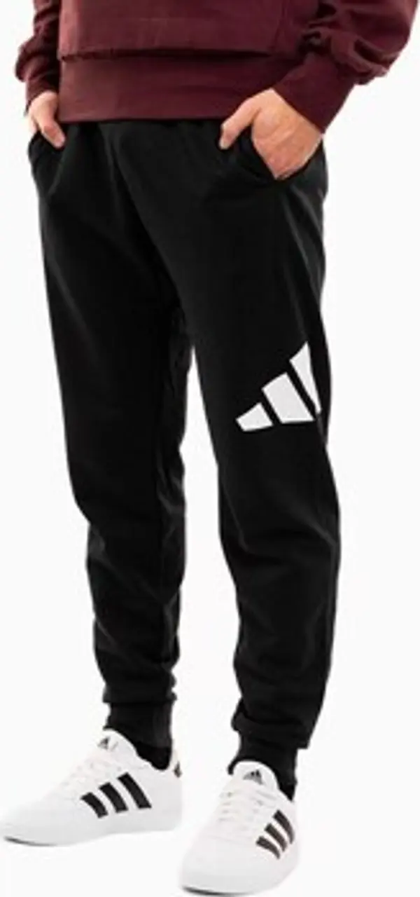 adidas adidas  Lagane hlače / Šalvare Essentials Big Logo French Terry  adidas