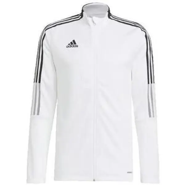 adidas adidas  Majice dugih rukava T-shirt manches longues  Team Base  adidas