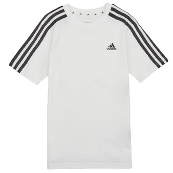 adidas adidas  Majice kratkih rukava 3S TEE  adidas