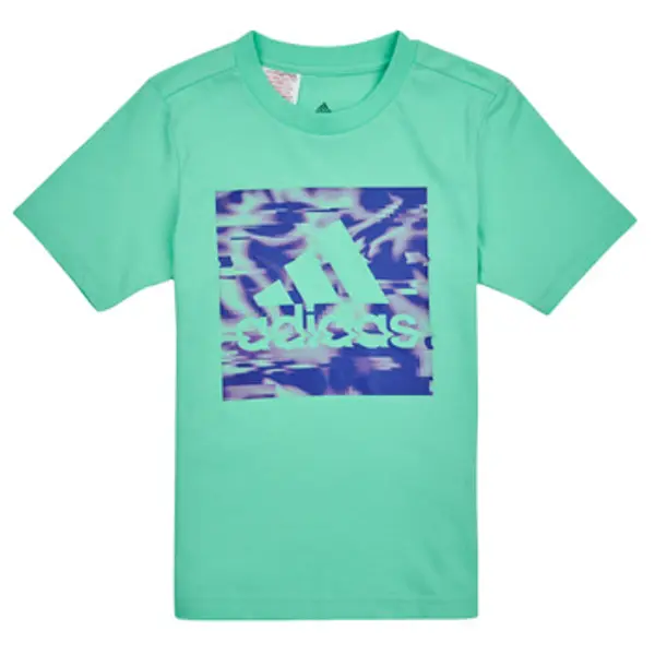 adidas adidas  Majice kratkih rukava AKD GT  adidas
