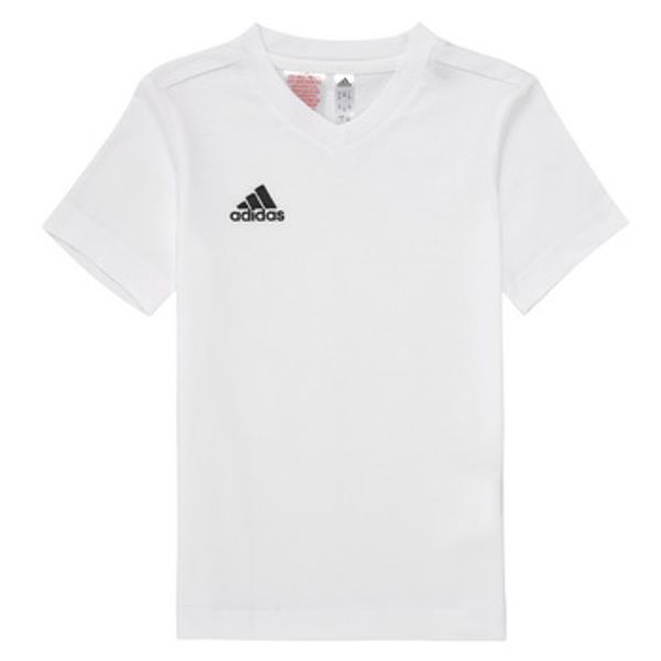 adidas adidas  Majice kratkih rukava ENT22 TEE Y  adidas