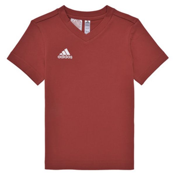 adidas adidas  Majice kratkih rukava ENT22 TEE Y  adidas