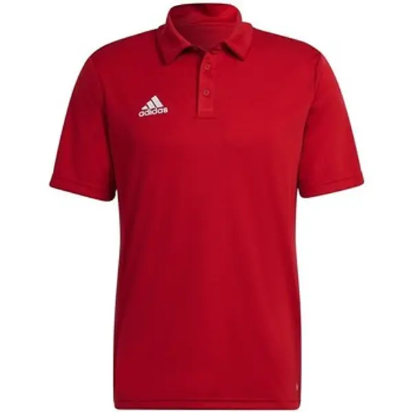 adidas adidas  Majice kratkih rukava Entrada 22  adidas