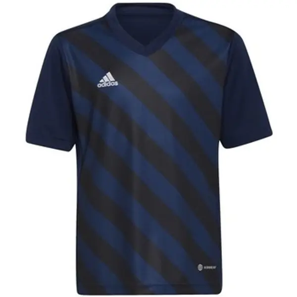 adidas adidas  Majice kratkih rukava Entrada 22 Graphic Jersey  adidas