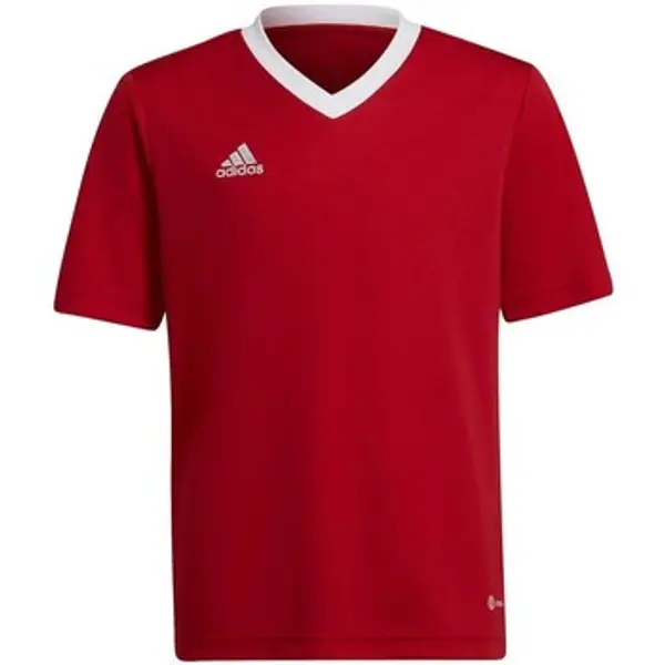 adidas adidas  Majice kratkih rukava Entrada 22 Jsy  adidas