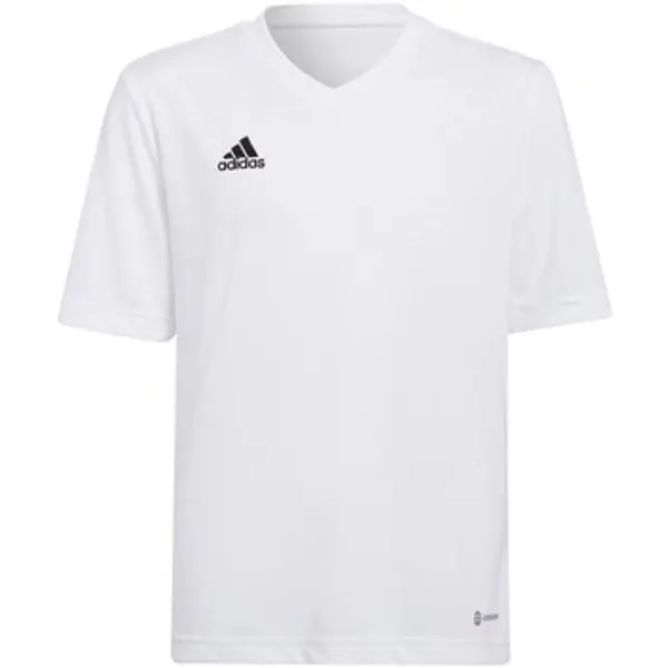 adidas adidas  Majice kratkih rukava Entrada 22 Jsy  adidas