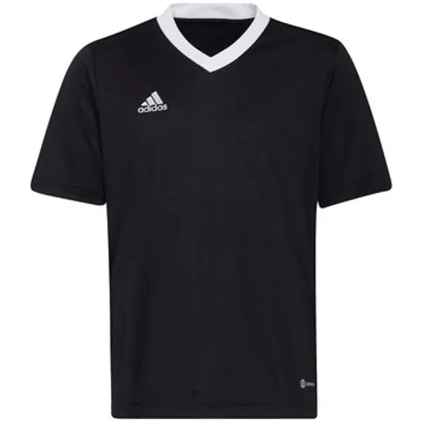 adidas adidas  Majice kratkih rukava Entrada 22 Jsy  adidas