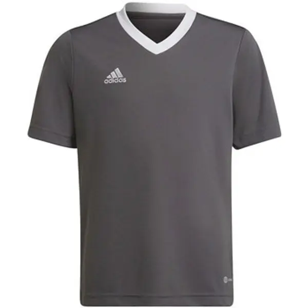 adidas adidas  Majice kratkih rukava Entrada 22 Jsy  adidas