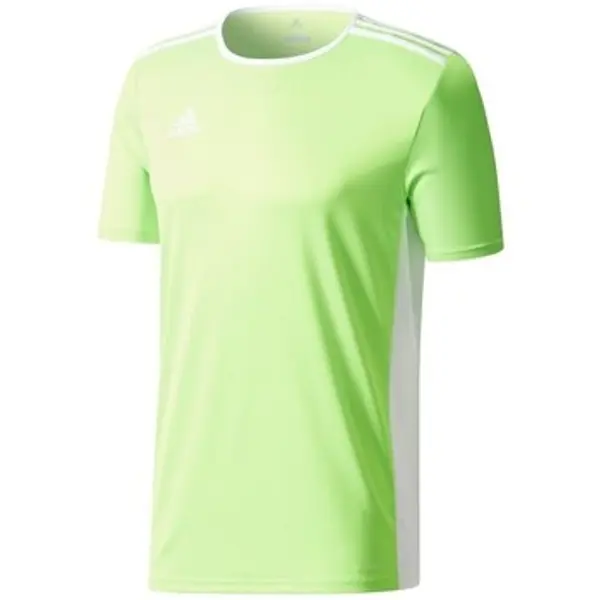 adidas adidas  Majice kratkih rukava Kentrada 18 Jersey  adidas