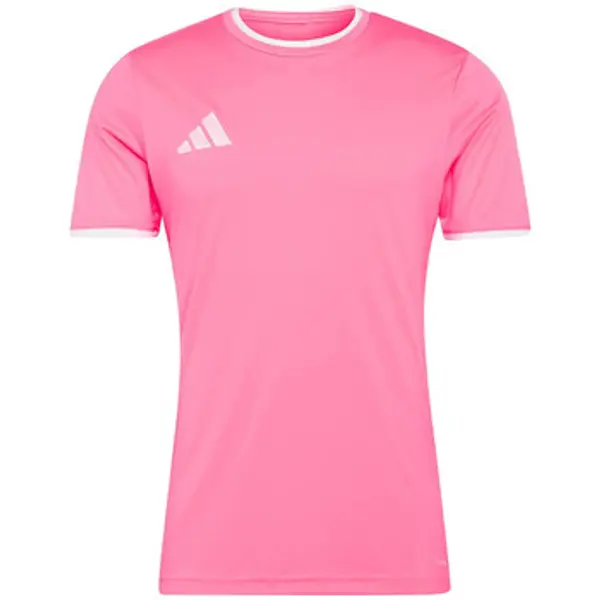adidas adidas  Majice kratkih rukava T-shirt  Entrada 26 rose  adidas