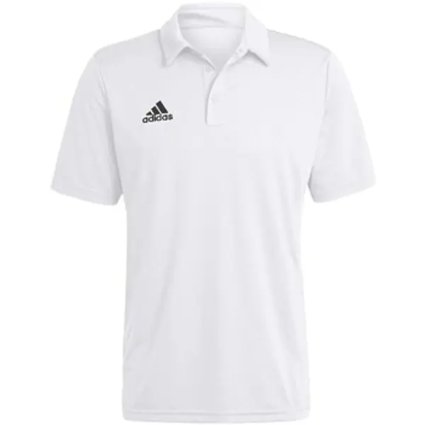 adidas adidas  Majice / Polo majice Ent22  adidas