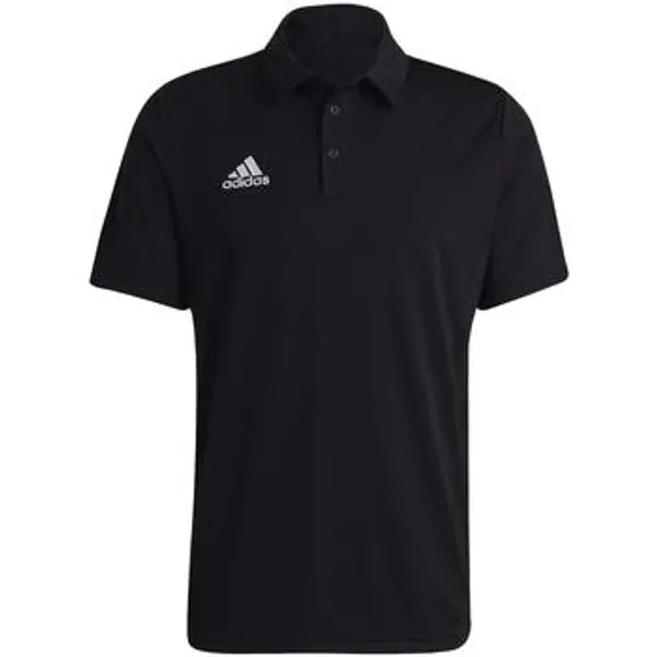 adidas adidas  Majice / Polo majice Ent22  adidas