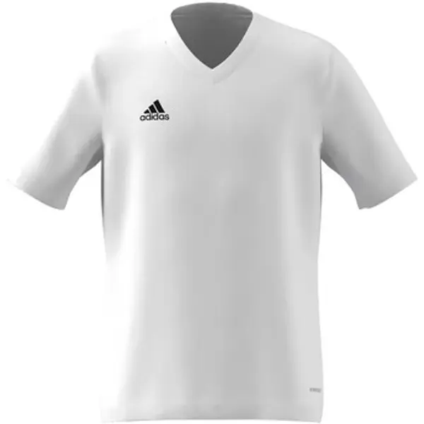 adidas adidas  Majice / Polo majice Ent22 Jsy Y  adidas