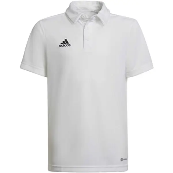 adidas adidas  Majice / Polo majice Ent22 Y  adidas