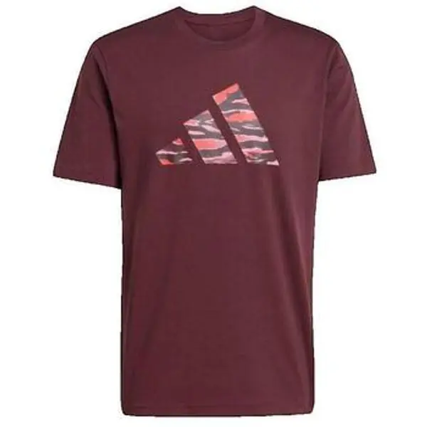 adidas adidas  Majice / Polo majice T-shirt  Codes Camo Graphic bordeaux  adidas