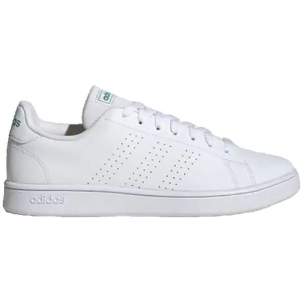 adidas adidas  Modne tenisice Baskets  advantage base cuir  adidas
