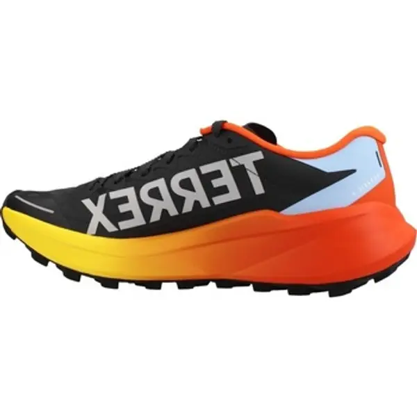 adidas adidas  Modne tenisice Terrex Agravic 4 W  adidas