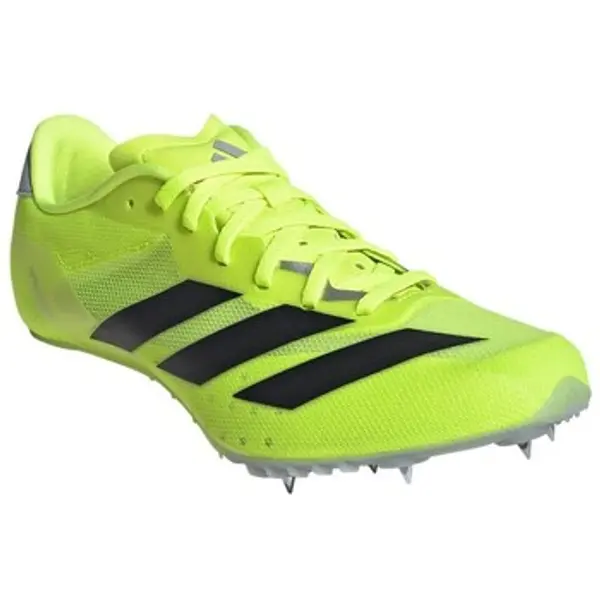 adidas adidas  Niske cipele Sprintstar  adidas