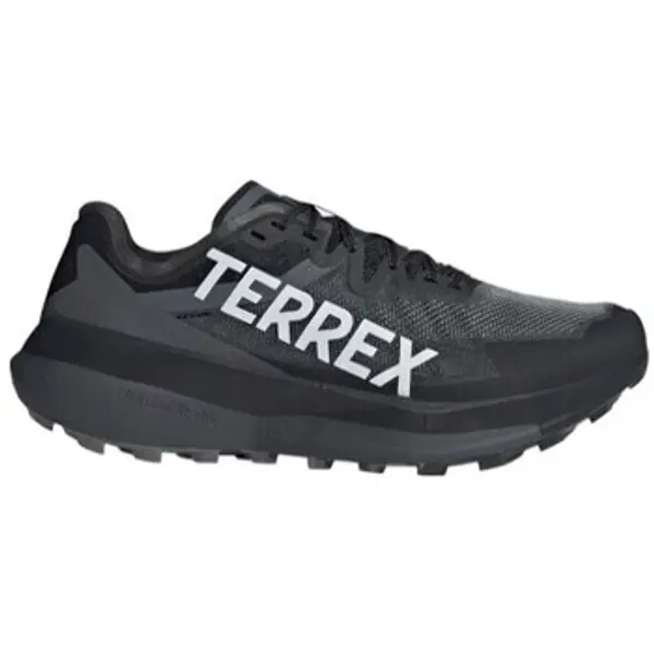 adidas adidas  Niske cipele Terrex  adidas