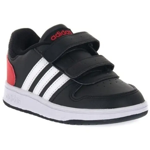 adidas adidas  Niske tenisice Hoops 2 Cmf C  adidas