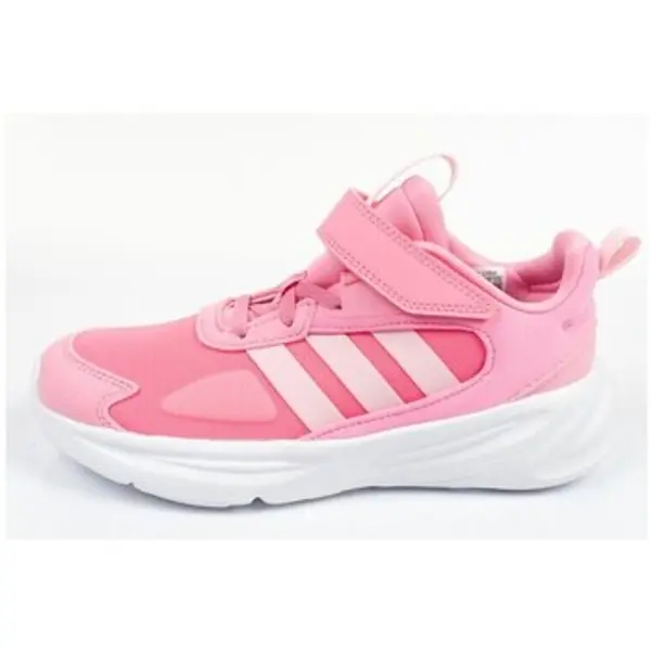 adidas adidas  Niske tenisice Ozelle  adidas