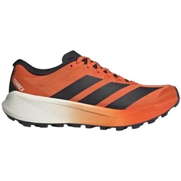 adidas adidas  Niske tenisice Terrex Agravic 4  adidas