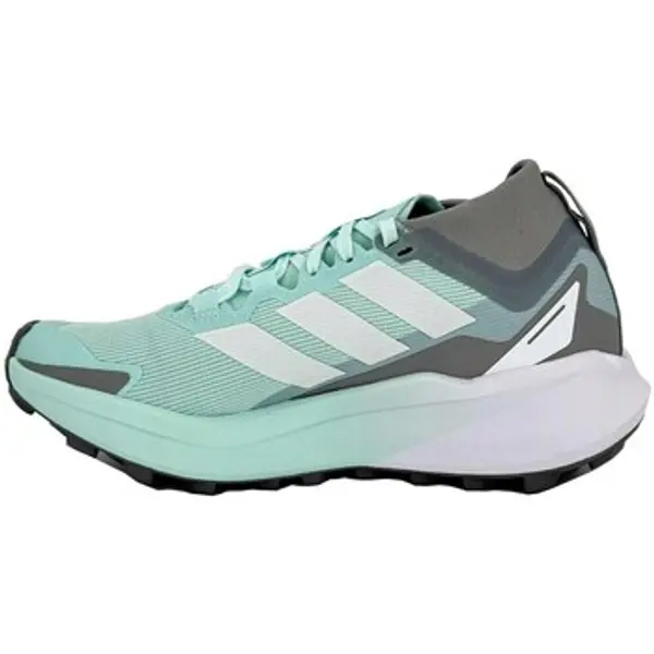 adidas adidas  Niske tenisice Terrex Agravic GTX  adidas